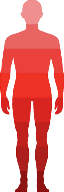 person