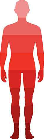 human