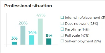 professional situation