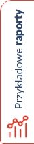Przykładowe raporty