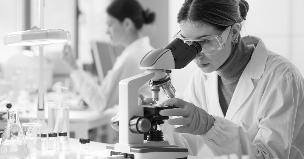 Jak wybrać odpowiedniego partnera i zbudować efektywną współpracę?